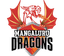 Mangaluru Dragons Flag