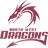 North West Dragons Flag
